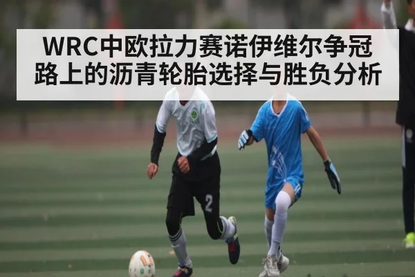 WRC中欧拉力赛诺伊维尔争冠路上的沥青轮胎选择与胜负分析